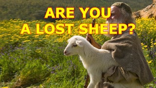 Are you a lost sheep? Examine yourself using this sermon