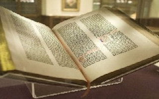 Juízes Daily Bible text