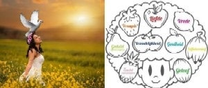 Galatians Bible Study